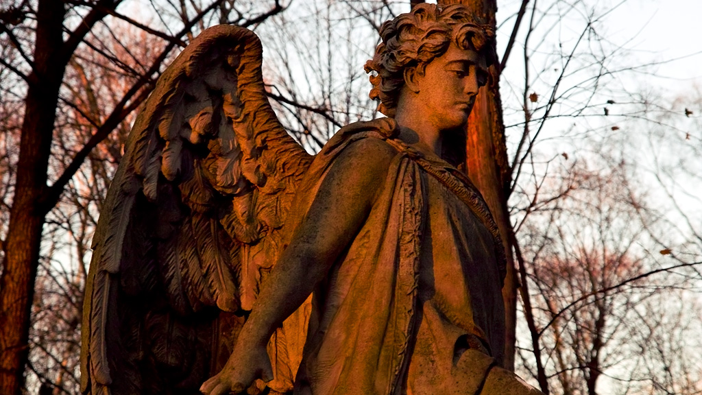 Закат || Введенское кладбище, Москва | Vvedenskoe cemetery, Moscow